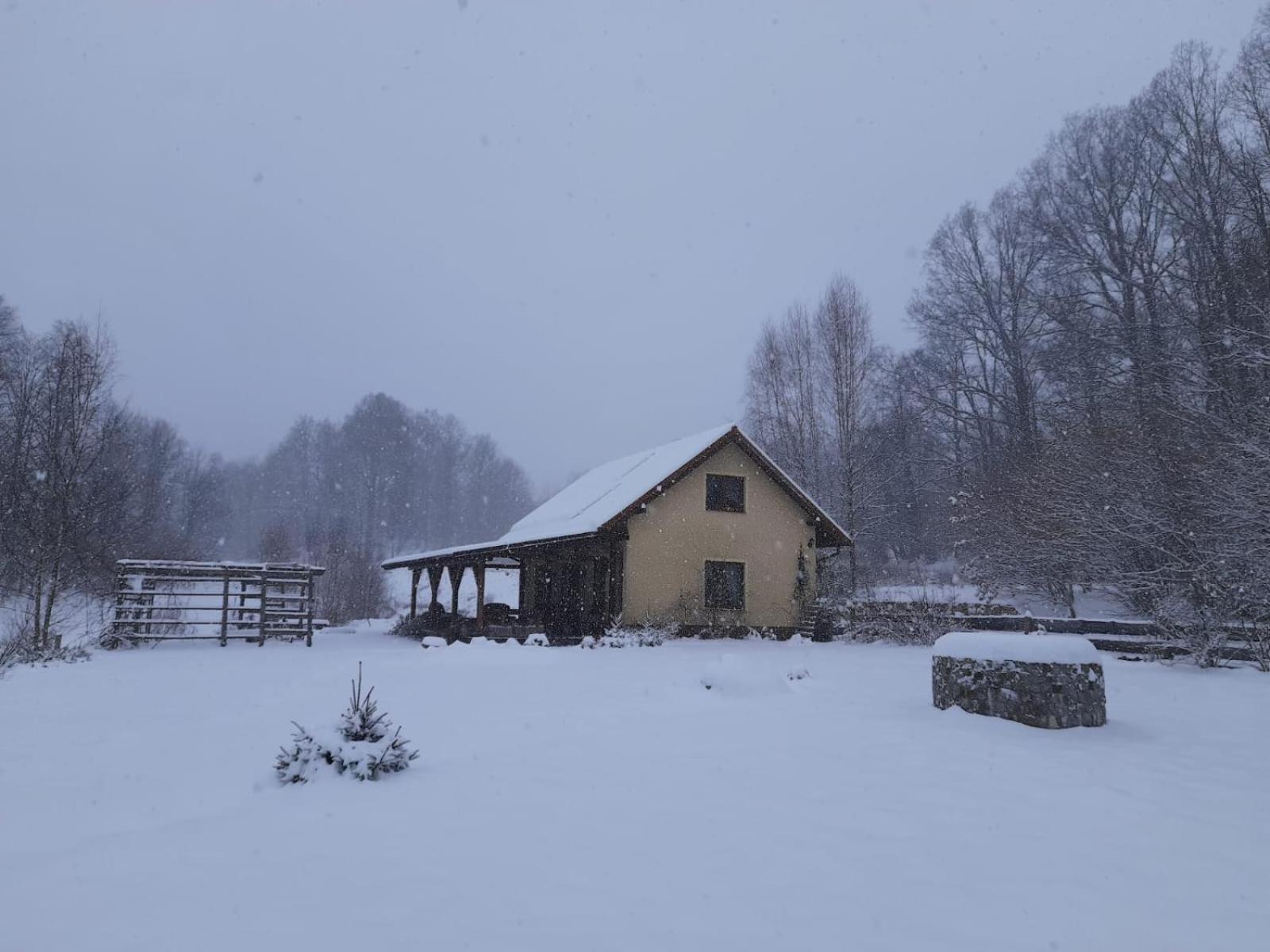 Majcia Villa Jelenia Góra Eksteriør bilde