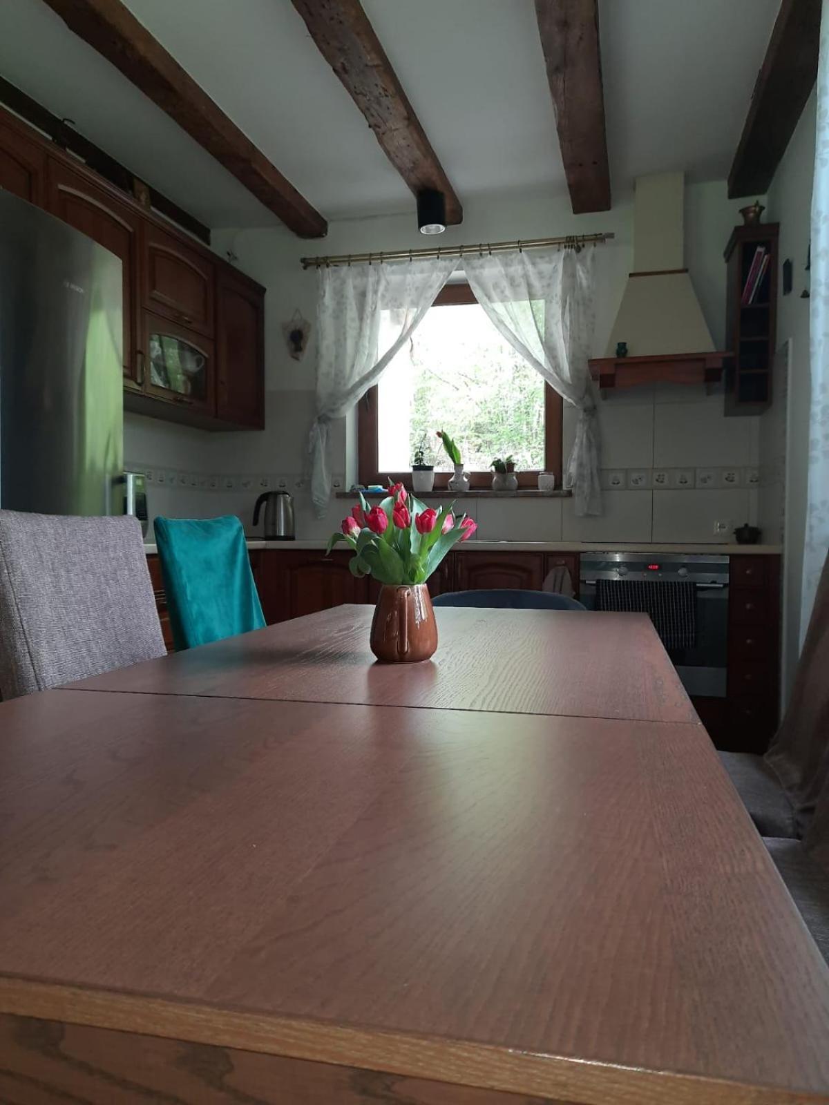 Majcia Villa Jelenia Góra Eksteriør bilde